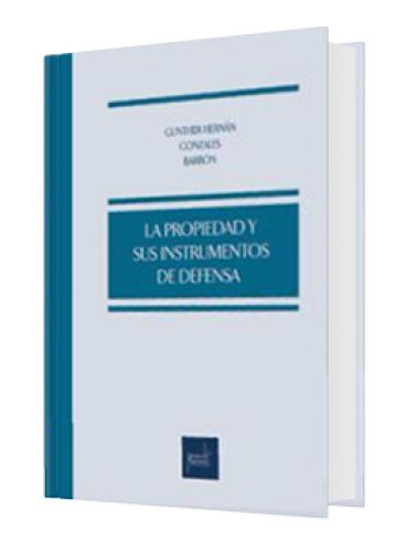 LA PROPIEDAD Y SUS INSTRUMENTOS DE DEFEN..